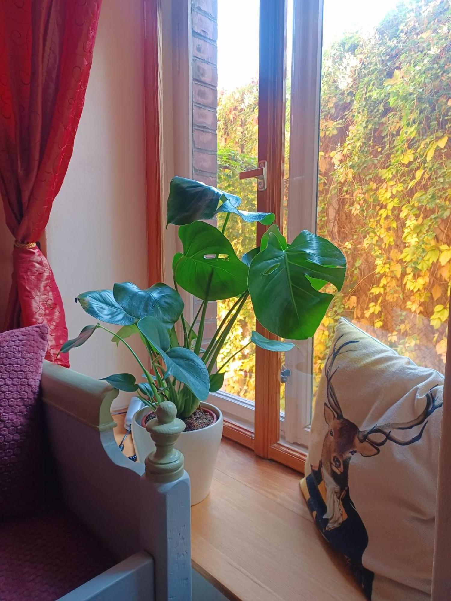 Ferienwohnung Antik Γκότα Εξωτερικό φωτογραφία